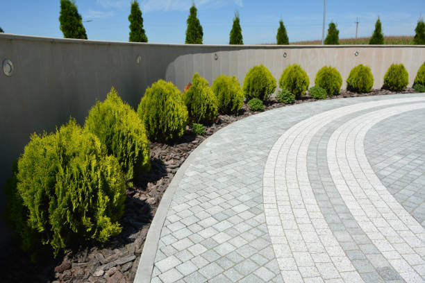 Reasons to Select Us for Your Driveway Paving Requirements in Shawneetown, IL